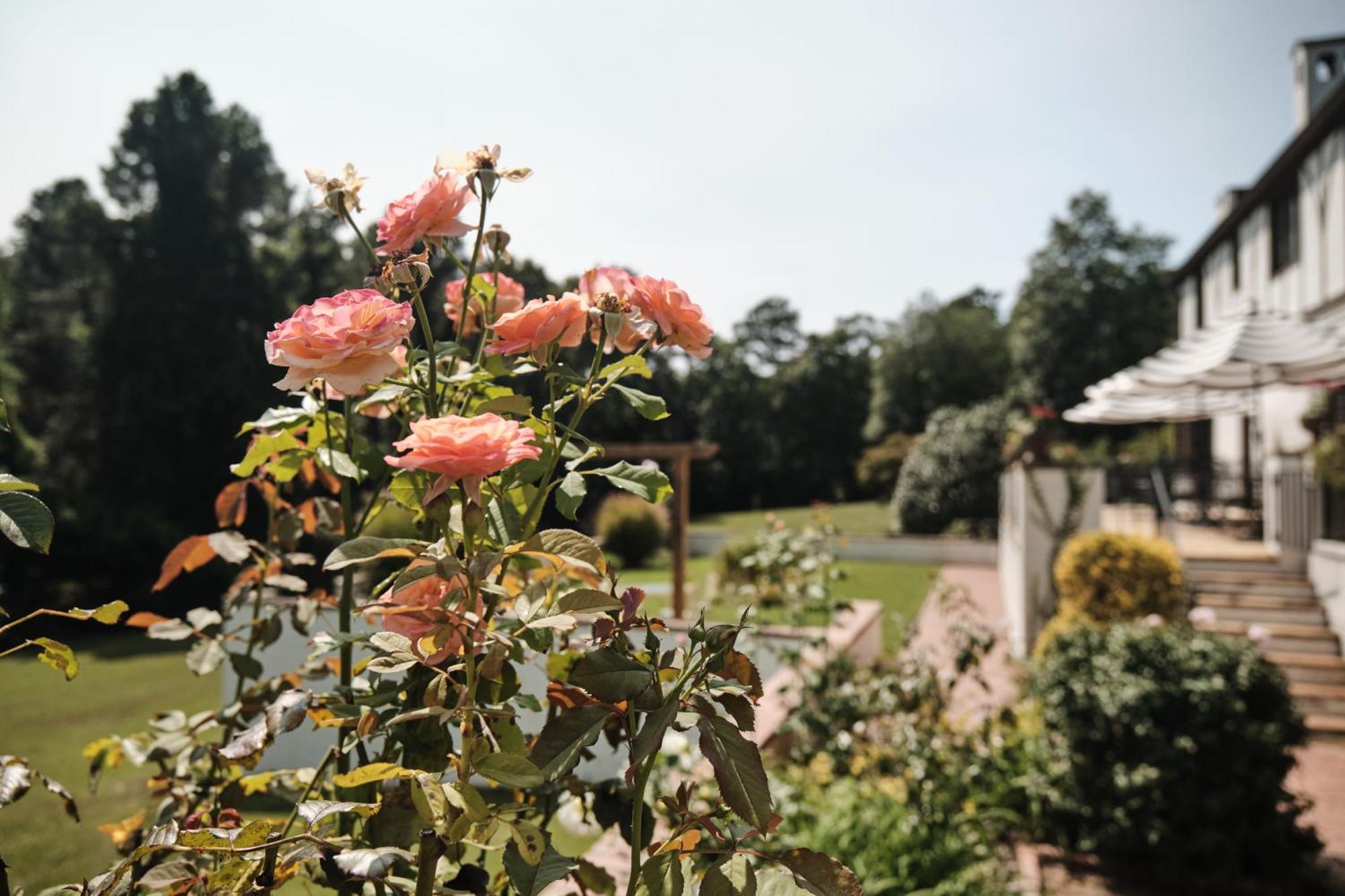 לינה וארוחת בוקר סאות'רן פיינס Duncraig Manor מראה חיצוני תמונה